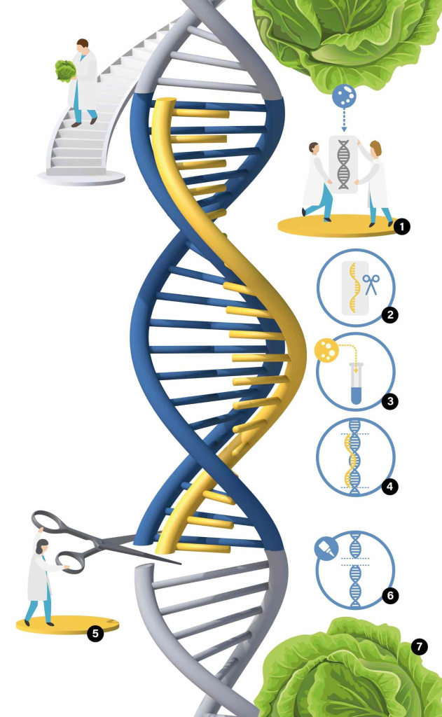 Gene Editing Breakthroughs: Innovations by David Liu